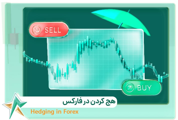 هج کردن | هر آنچه که باید درباره هجینگ بدانید